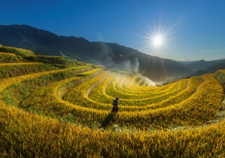 Ảnh của THÁNG  8 NÊN ĐI DU LỊCH Ở ĐÂU LÀ HỢP LÝ?